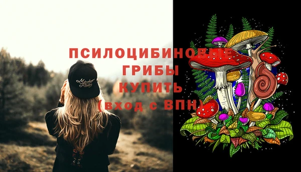 молекула духа Алзамай