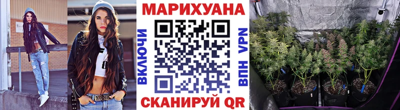 МАРИХУАНА план  купить  цена  Ладушкин 